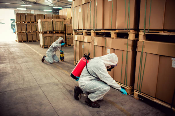 Best Ant Control Services  in Edgerton, OH