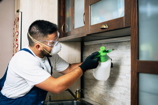 Best Best Pest Control Companies  in Edgerton, OH