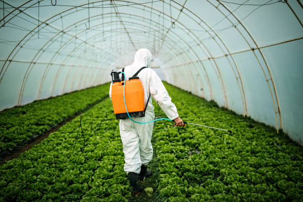 Best Pest Control Near Me  in Edgerton, OH