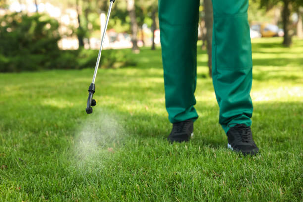 Best Emergency Pest Control  in Edgerton, OH