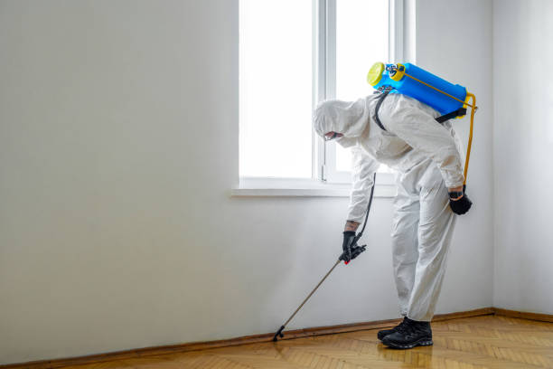 Reliable Edgerton, OH Pest Control Solutions