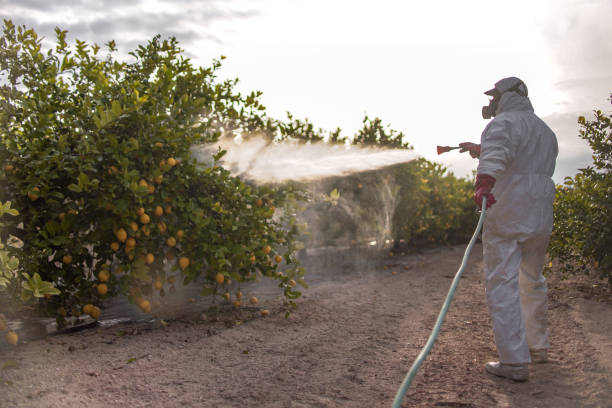 Best Cockroach Control Services  in Edgerton, OH