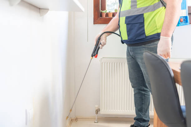 Best Wasp Removal Services  in Edgerton, OH