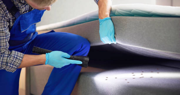 Best Flea Control Services  in Edgerton, OH