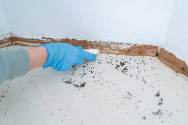 Best Commercial Pest Control Services  in Edgerton, OH