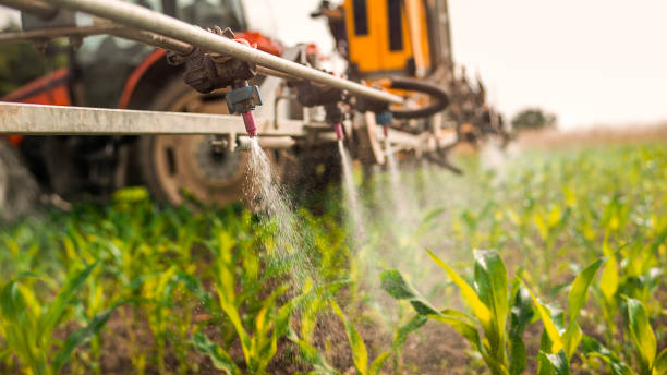 Best Wildlife Control Services  in Edgerton, OH